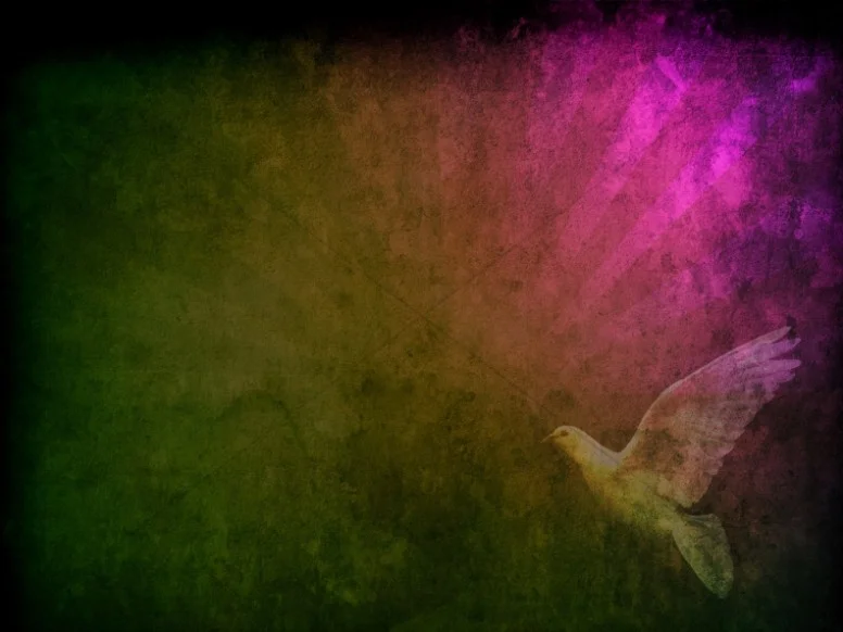 4c387c786e4174adaa5ddb3bcf802057